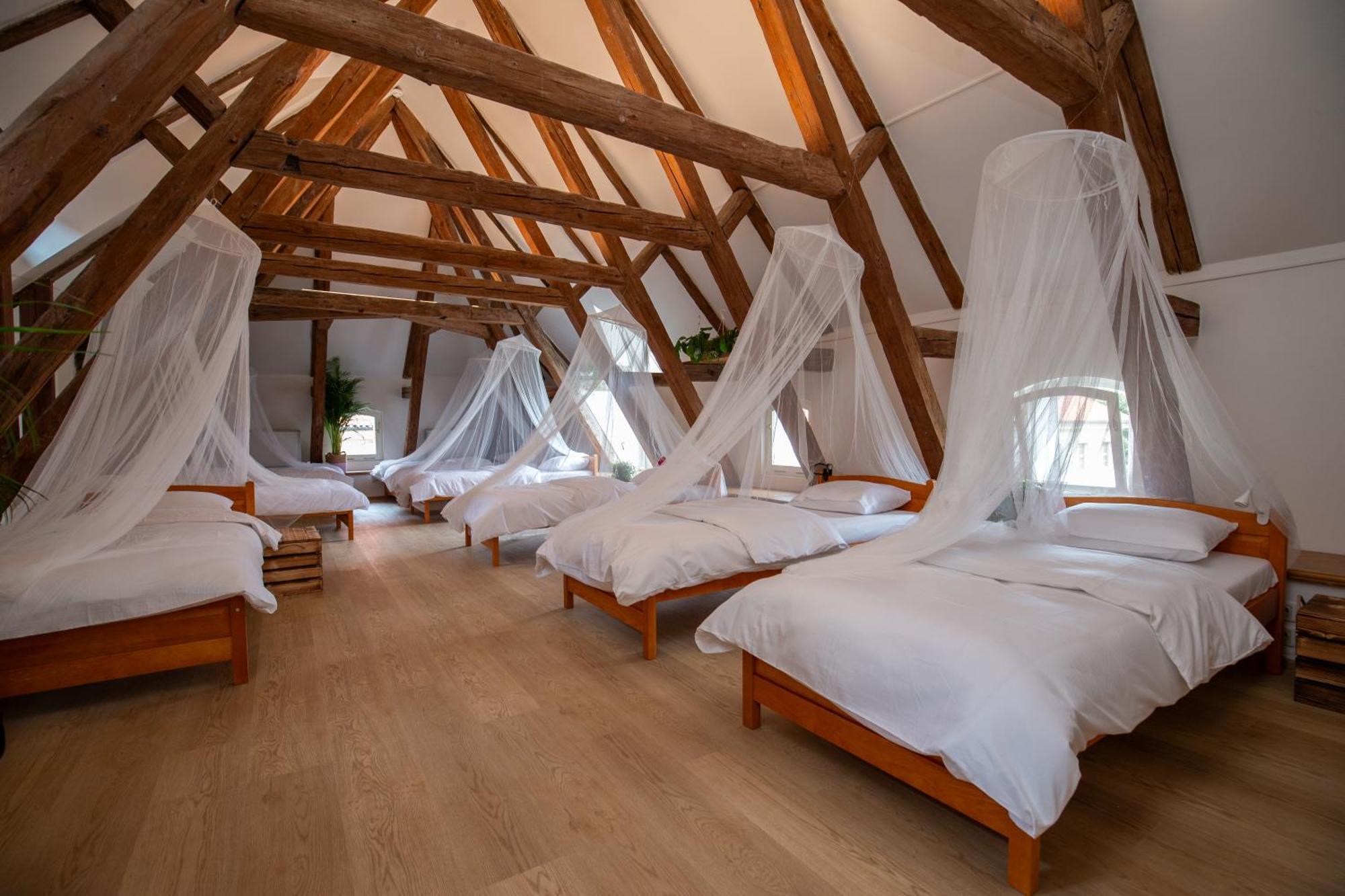 Single Bed in Female 8-Bed Dormitory Room with Large Window