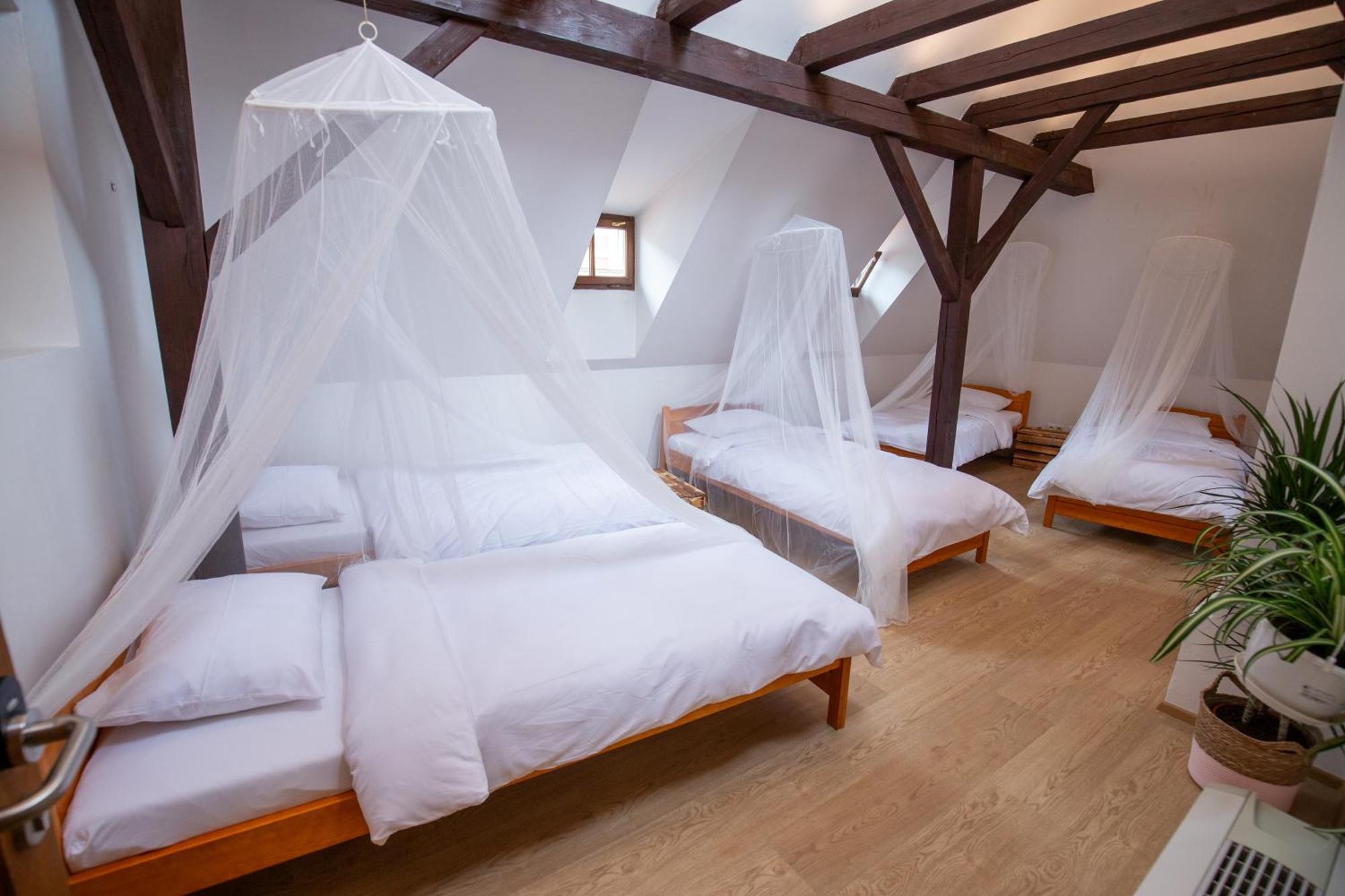 Cama en habitación compartida femenina de 6 camas